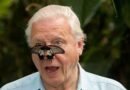 Sir David Attenborough