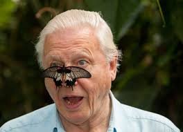 Sir David Attenborough
